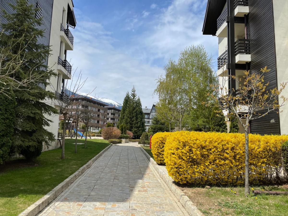 Pirin Dream View Apartments ラズロク エクステリア 写真