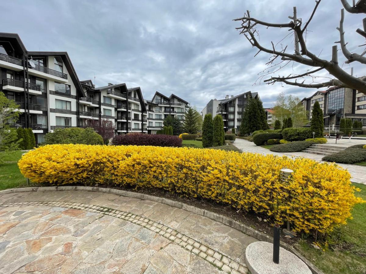Pirin Dream View Apartments ラズロク エクステリア 写真